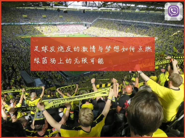 足球发烧友的激情与梦想如何点燃绿茵场上的无限可能
