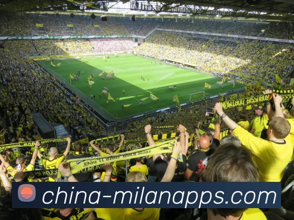 米兰体育APP 封面图